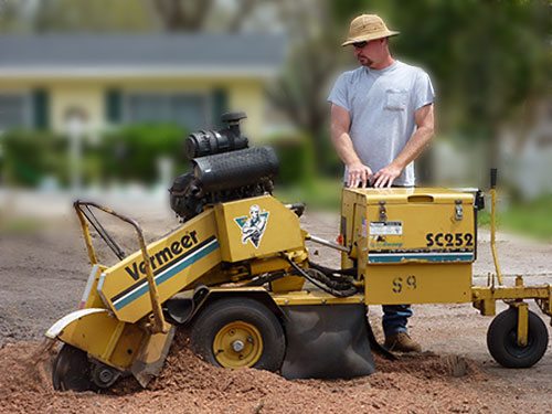 stump grinding staten island